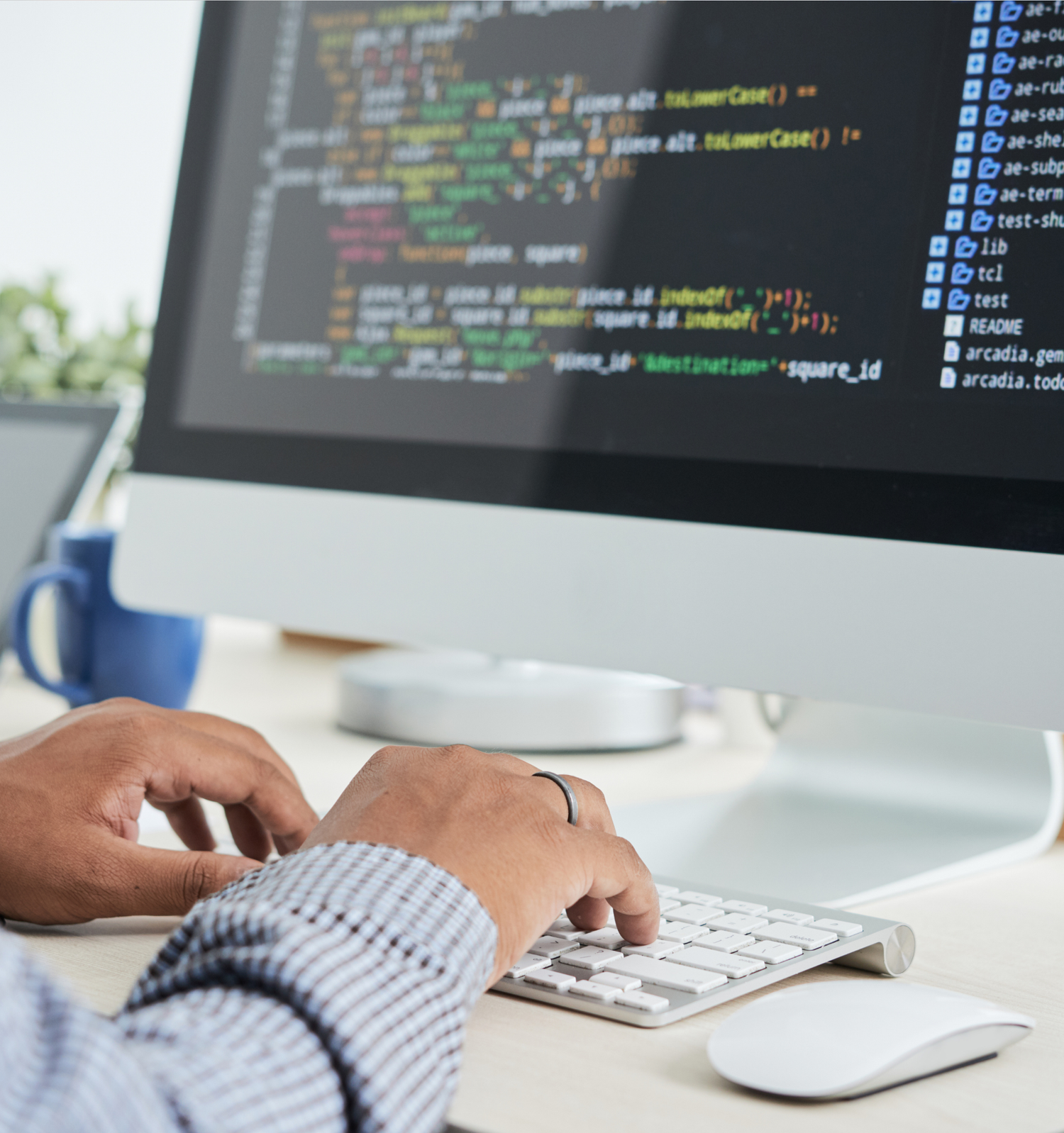 shopify development