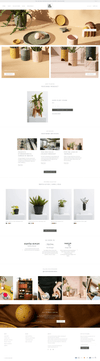 Dotmagic Infotech, Shopify expert Homepage