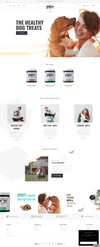 Dotmagic Infotech, Shopify expert Homepage